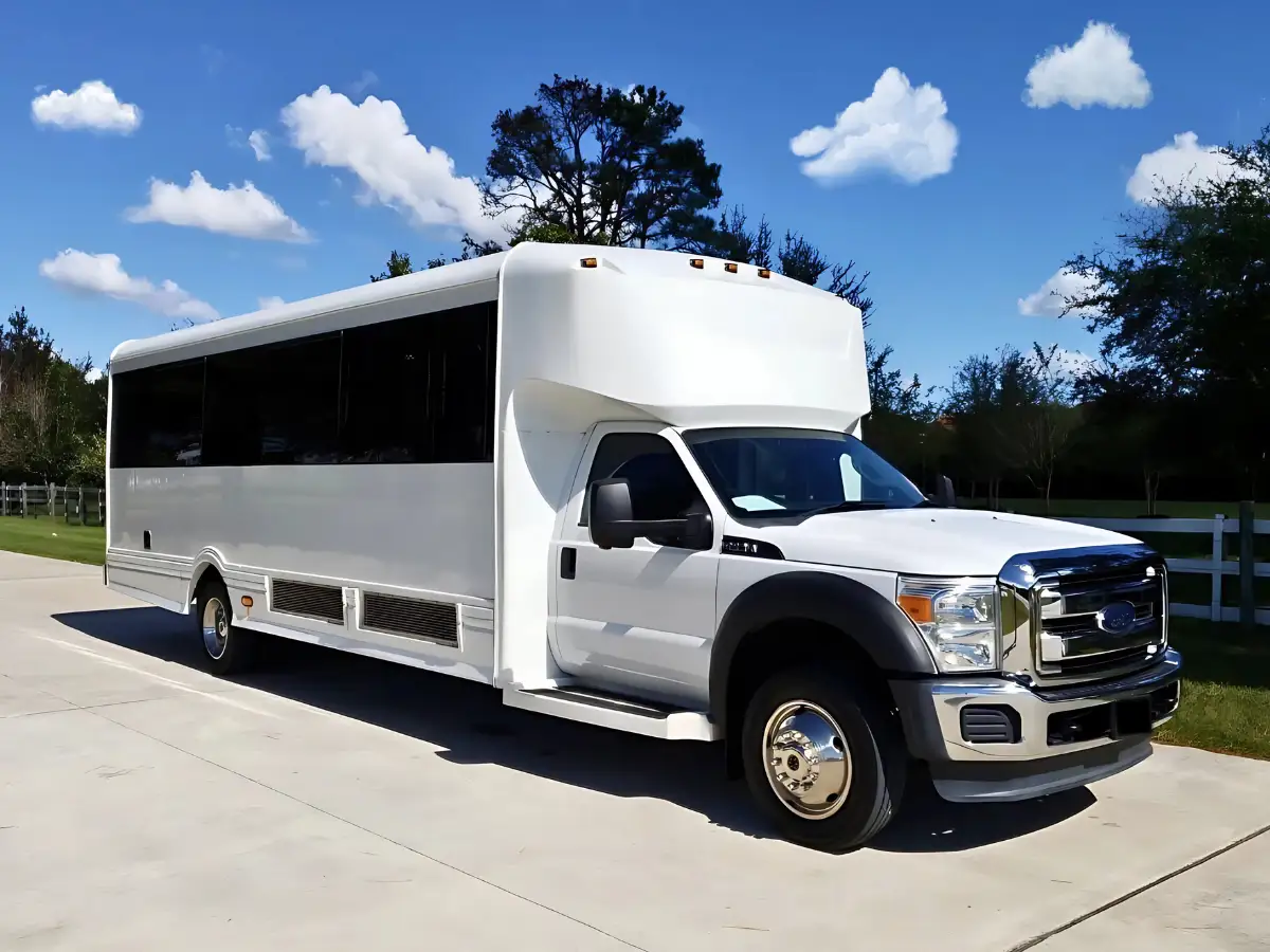 20-Passengers-Party-Bus